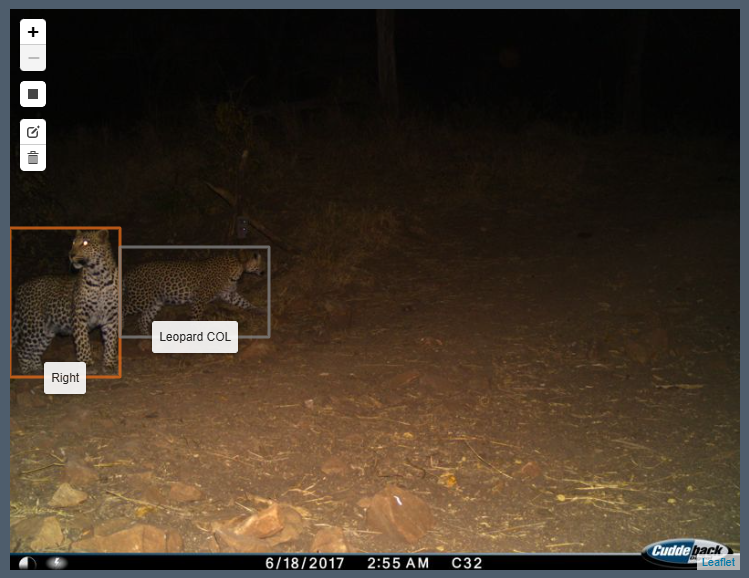 Improved Annotation Tools Update